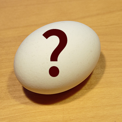 Foto: Ei mit Fragezeichen; Thema: Eier