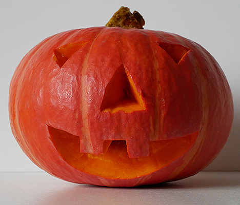 Zeit für Hokkaido-Kürbis! – 打木赤皮甘栗かぼちゃ – Japan begeistert!