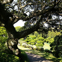 Nokonoshima Island Park (Foto: copyright 2016 fduprel)