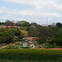 Nokonoshima Island Park (Foto: copyright 2016 fduprel)