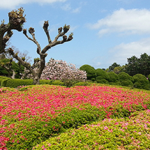 Nokonoshima Island Park (Foto: copyright 2016 fduprel)