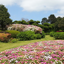 Nokonoshima Island Park (Foto: copyright 2016 fduprel)