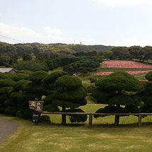 Nokonoshima Island Park (Foto: copyright 2016 fduprel)