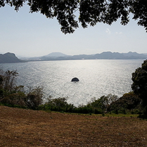 Nokonoshima Island Park (Foto: copyright 2016 fduprel)