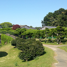 Nokonoshima Island Park (Foto: copyright 2016 fduprel)