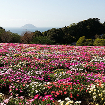 Nokonoshima Island Park: Blick auf Nachbarinsel (Foto: copyright 2016 fduprel)