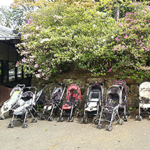 Nokonoshima Island Park: Beliebt bei Familien (Foto: copyright 2016 fduprel)