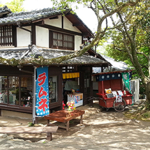 Nokonoshima Island Park: Laden (Foto: copyright 2016 fduprel)