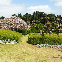 Nokonoshima Island Park (Foto: copyright 2016 fduprel)